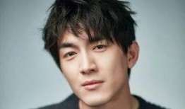 圈内爆料王丽坤,娱乐圈爆料女王，揭秘明星幕后故事